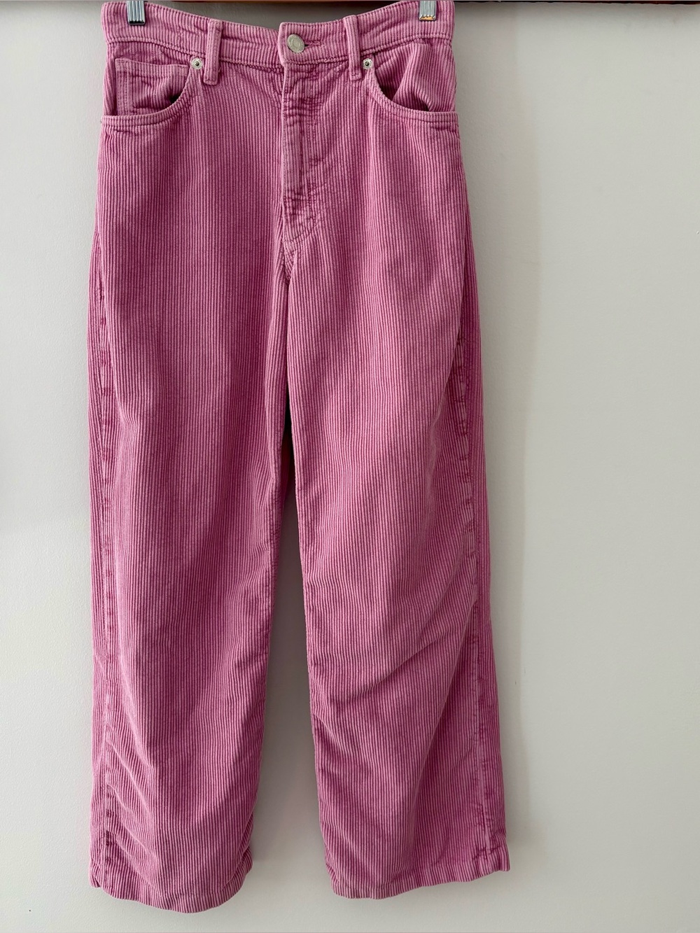 Zara—Pink Corduroy Pants, Wide Leg High Rise (Size 4)